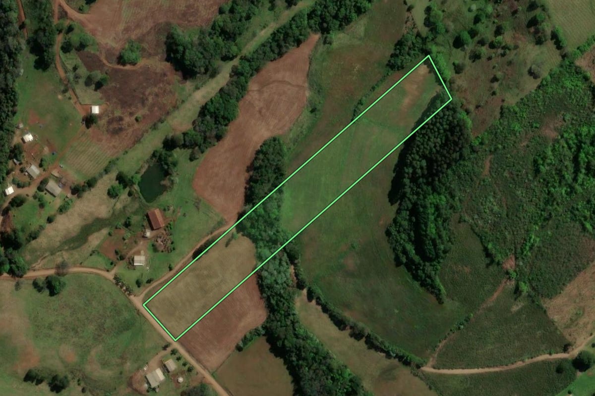 Imagem de satélite do imóvel rural em São Lourenço do Oeste (SC), com o contorno declarado no CAR desenhado por cima.