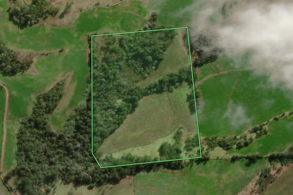 Imagem de satélite do imóvel rural em São Lourenço do Oeste (SC), com o contorno declarado no CAR desenhado por cima.