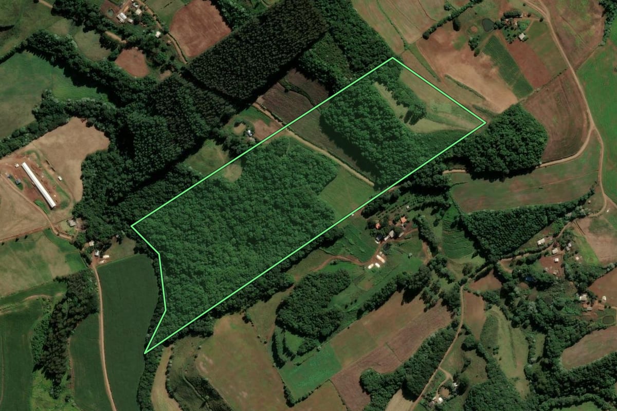 Imagem de satélite do imóvel rural em São Lourenço do Oeste (SC), com o contorno declarado no CAR desenhado por cima.