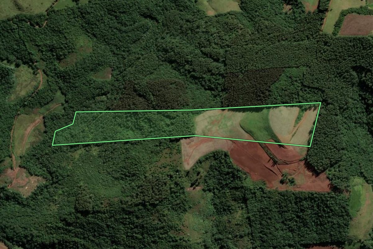 Imagem de satélite do imóvel rural em São Lourenço do Oeste (SC), com o contorno declarado no CAR desenhado por cima.