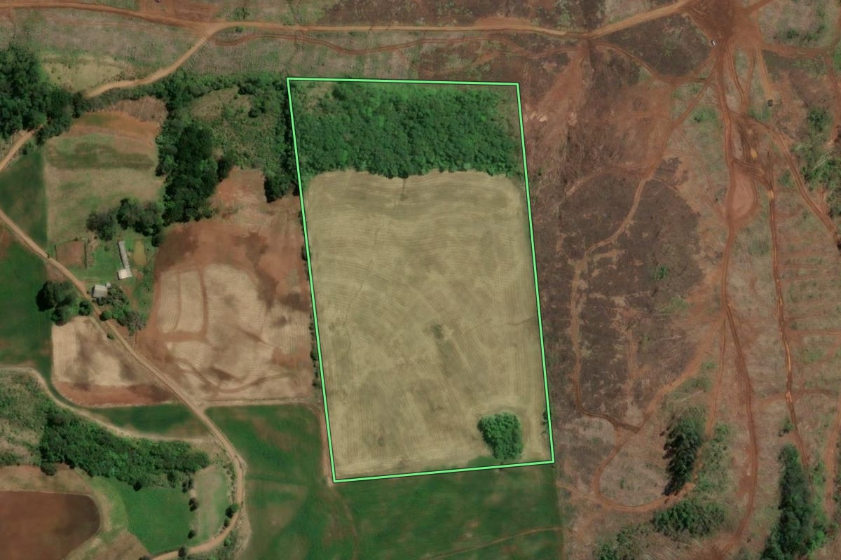 Imagem de satélite do imóvel rural em São Lourenço do Oeste (SC), com o contorno declarado no CAR desenhado por cima.