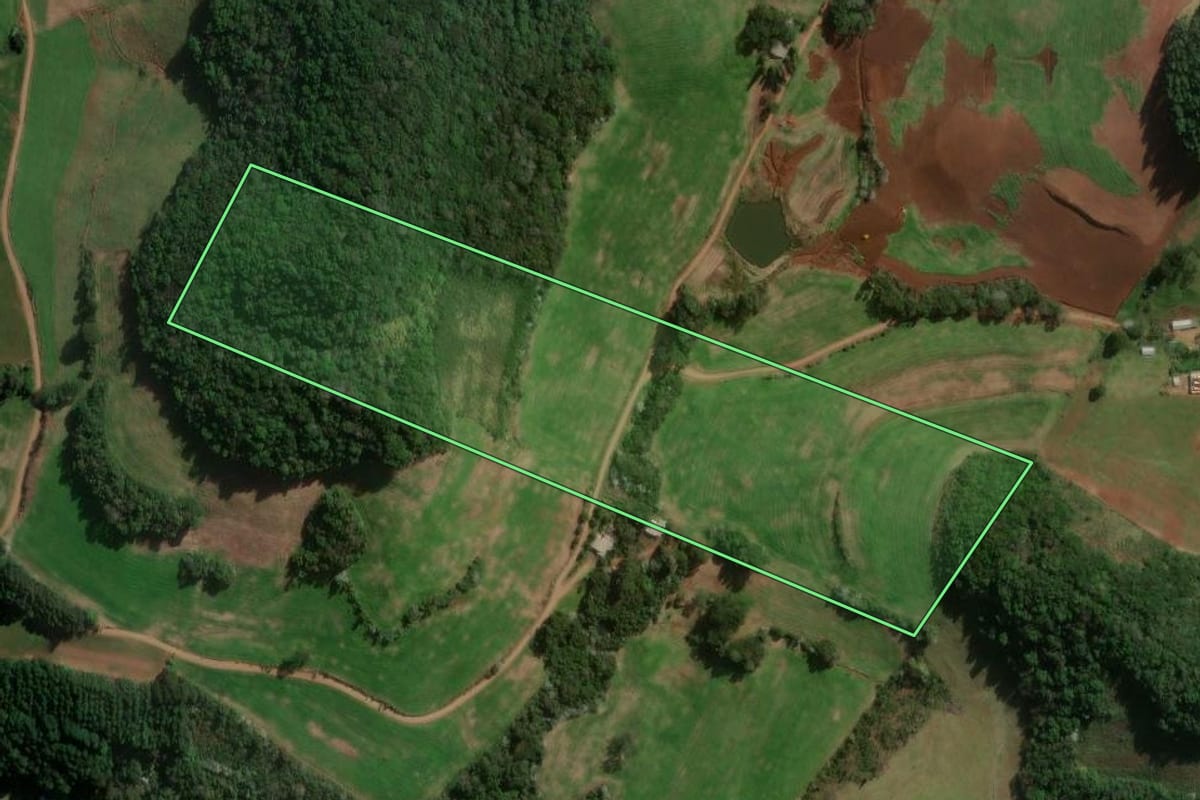 Imagem de satélite do imóvel rural em São Lourenço do Oeste (SC), com o contorno declarado no CAR desenhado por cima.