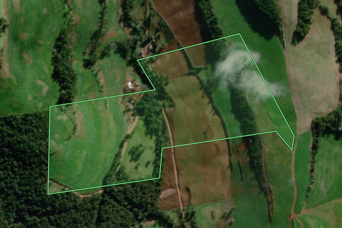 Imagem de satélite do imóvel rural em São Lourenço do Oeste (SC), com o contorno declarado no CAR desenhado por cima.