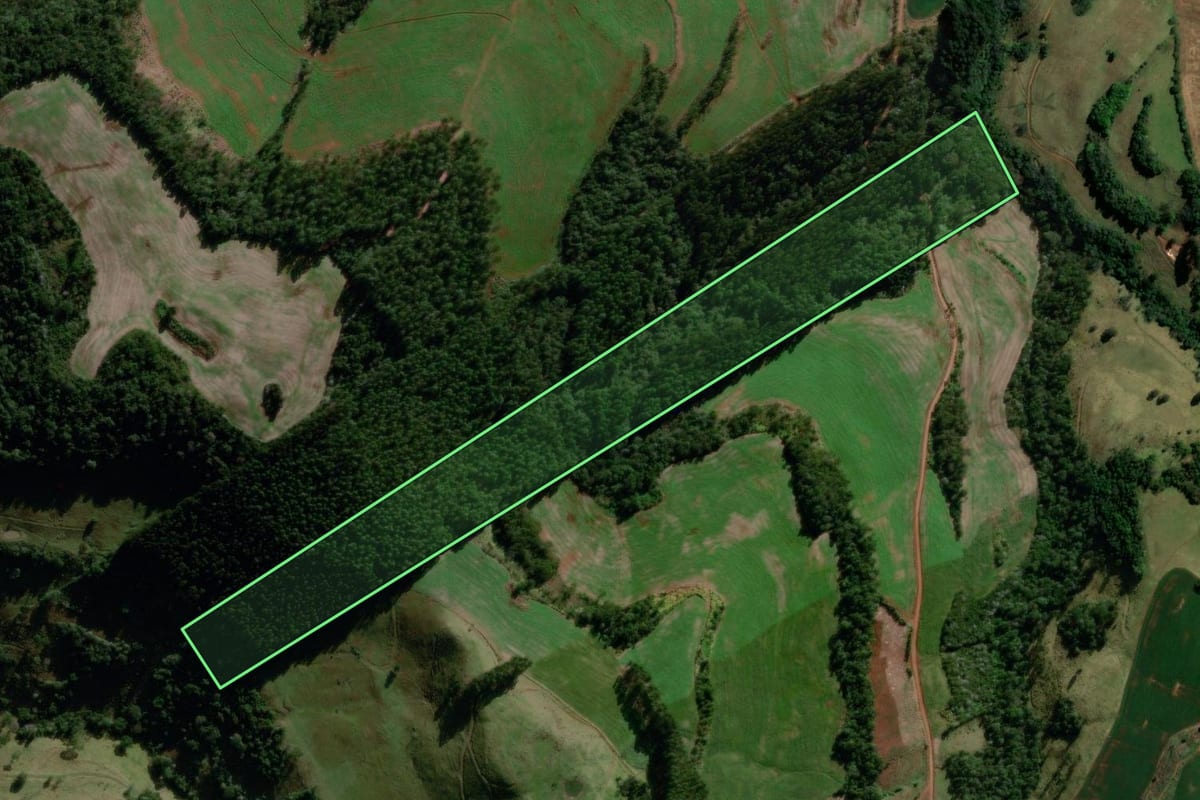 Imagem de satélite do imóvel rural em São Lourenço do Oeste (SC), com o contorno declarado no CAR desenhado por cima.