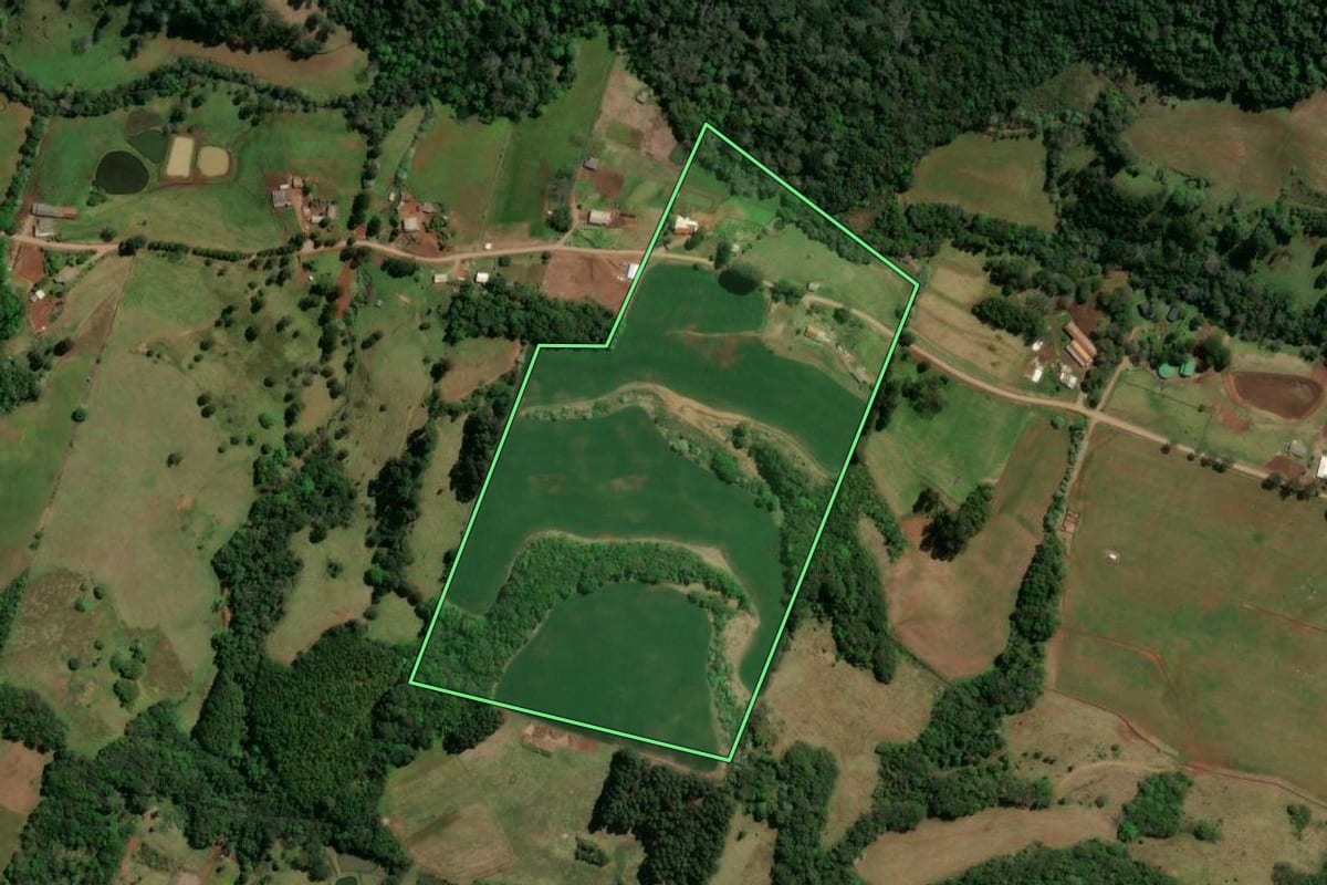 Imagem de satélite do imóvel rural em São Lourenço do Oeste (SC), com o contorno declarado no CAR desenhado por cima.