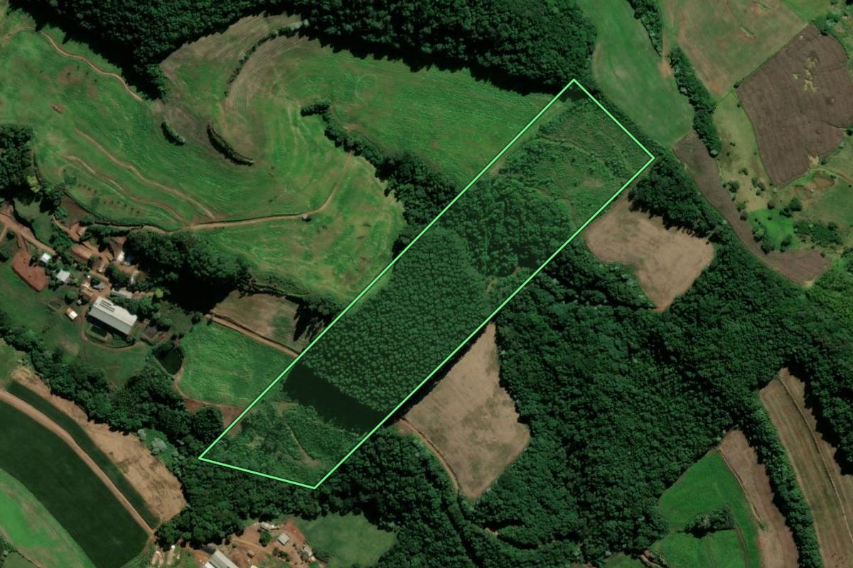 Imagem de satélite do imóvel rural em São Lourenço do Oeste (SC), com o contorno declarado no CAR desenhado por cima.