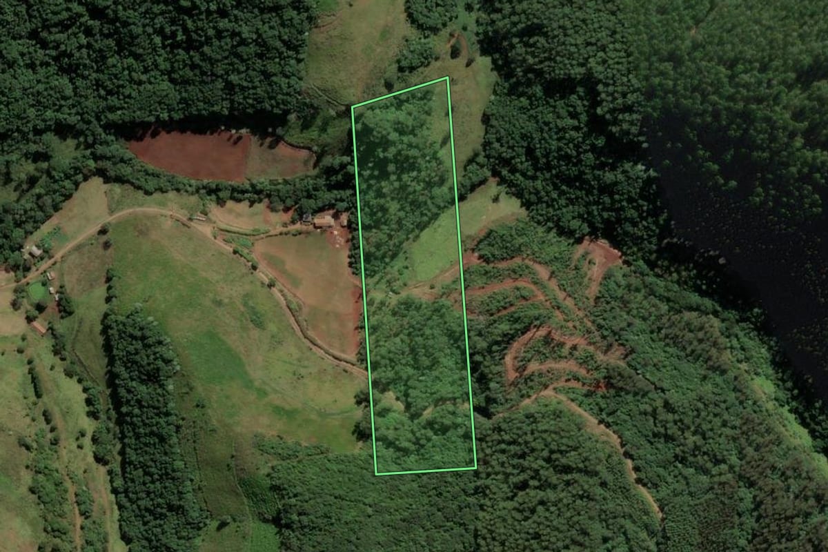 Imagem de satélite do imóvel rural em São Lourenço do Oeste (SC), com o contorno declarado no CAR desenhado por cima.