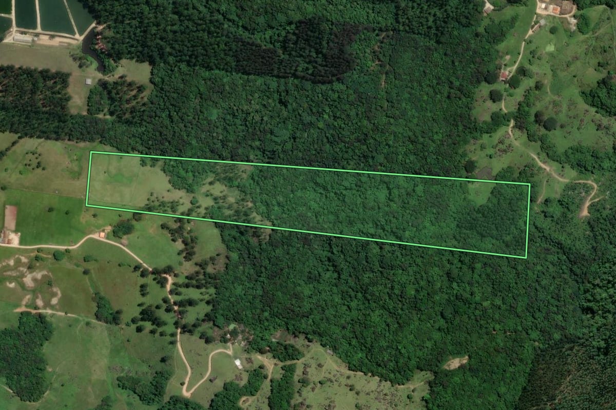 Imagem de satélite do imóvel rural em São Ludgero (SC), com o contorno declarado no CAR desenhado por cima.