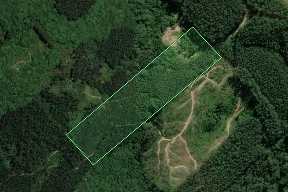 Imagem de satélite do imóvel rural em São Ludgero (SC), com o contorno declarado no CAR desenhado por cima.