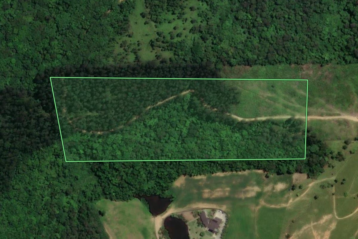 Imagem de satélite do imóvel rural em São Ludgero (SC), com o contorno declarado no CAR desenhado por cima.