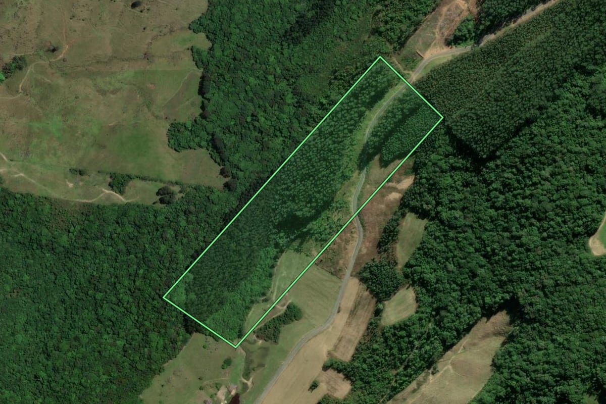 Imagem de satélite do imóvel rural em São Ludgero (SC), com o contorno declarado no CAR desenhado por cima.