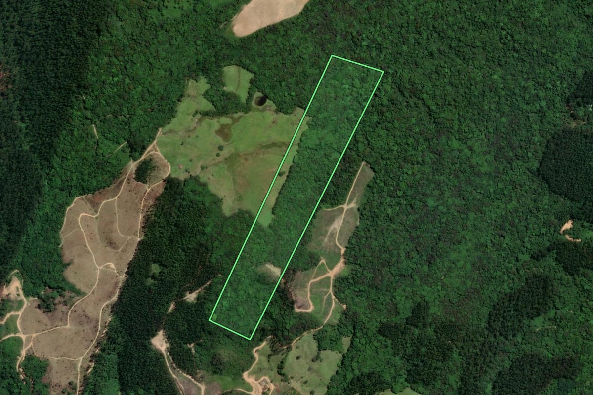 Imagem de satélite do imóvel rural em São Ludgero (SC), com o contorno declarado no CAR desenhado por cima.