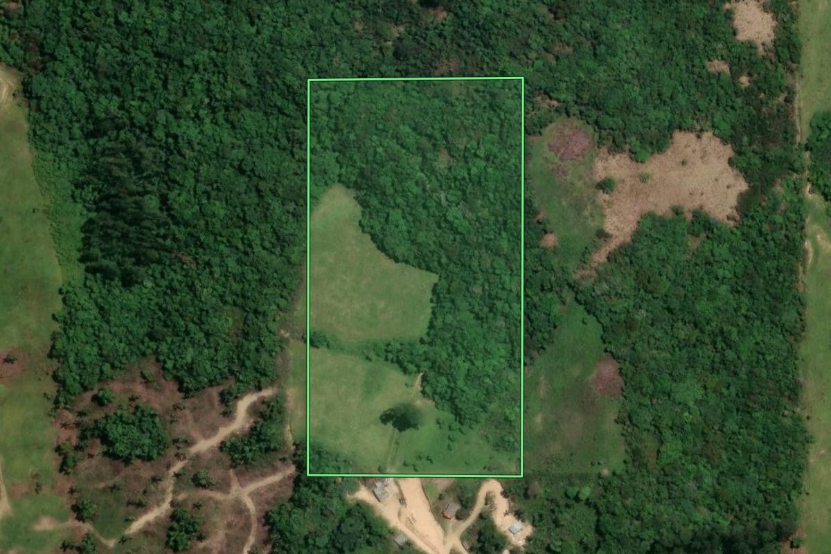 Imagem de satélite do imóvel rural em São Ludgero (SC), com o contorno declarado no CAR desenhado por cima.