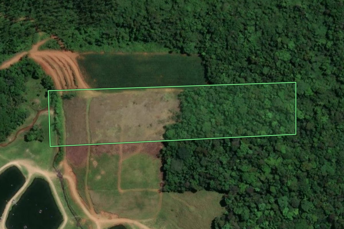 Imagem de satélite do imóvel rural em São Ludgero (SC), com o contorno declarado no CAR desenhado por cima.