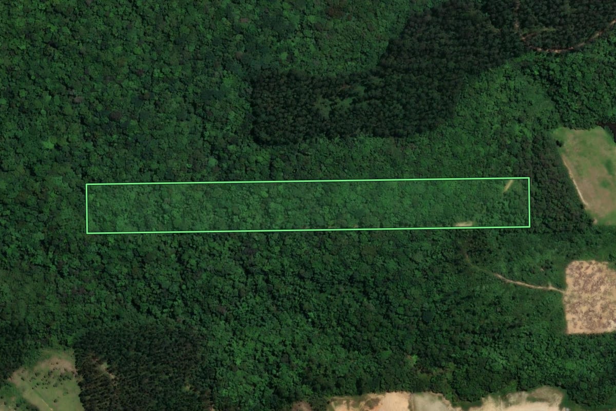 Imagem de satélite do imóvel rural em São Ludgero (SC), com o contorno declarado no CAR desenhado por cima.