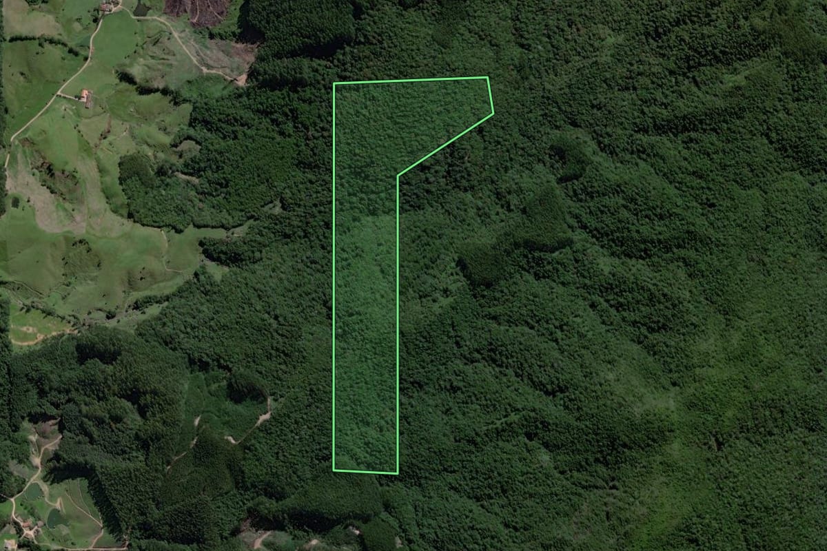 Imagem de satélite do imóvel rural em São Martinho (SC), com o contorno declarado no CAR desenhado por cima.