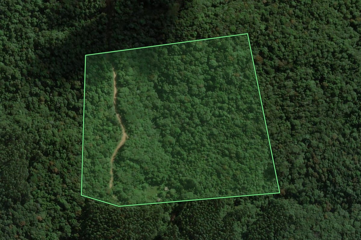Imagem de satélite do imóvel rural em São Martinho (SC), com o contorno declarado no CAR desenhado por cima.