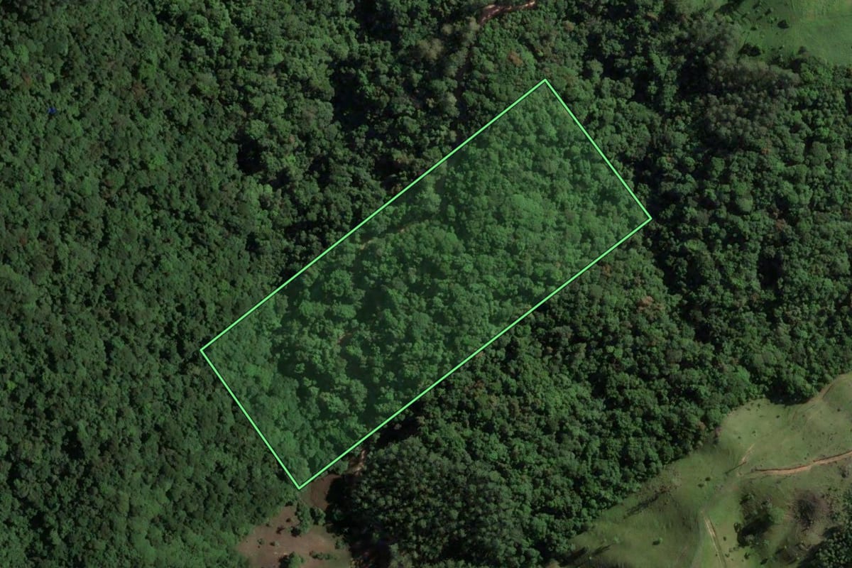 Imagem de satélite do imóvel rural em São Martinho (SC), com o contorno declarado no CAR desenhado por cima.