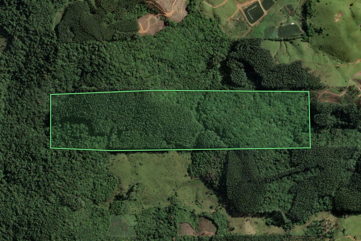 Imagem de satélite do imóvel rural em São Martinho (SC), com o contorno declarado no CAR desenhado por cima.