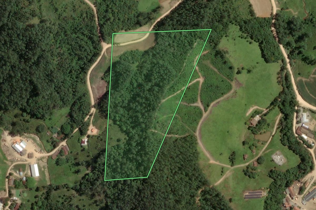 Imagem de satélite do imóvel rural em São Martinho (SC), com o contorno declarado no CAR desenhado por cima.