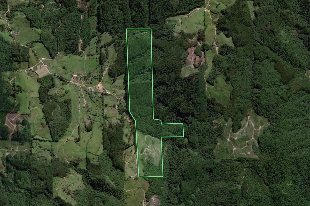 Imagem de satélite do imóvel rural em São Martinho (SC), com o contorno declarado no CAR desenhado por cima.