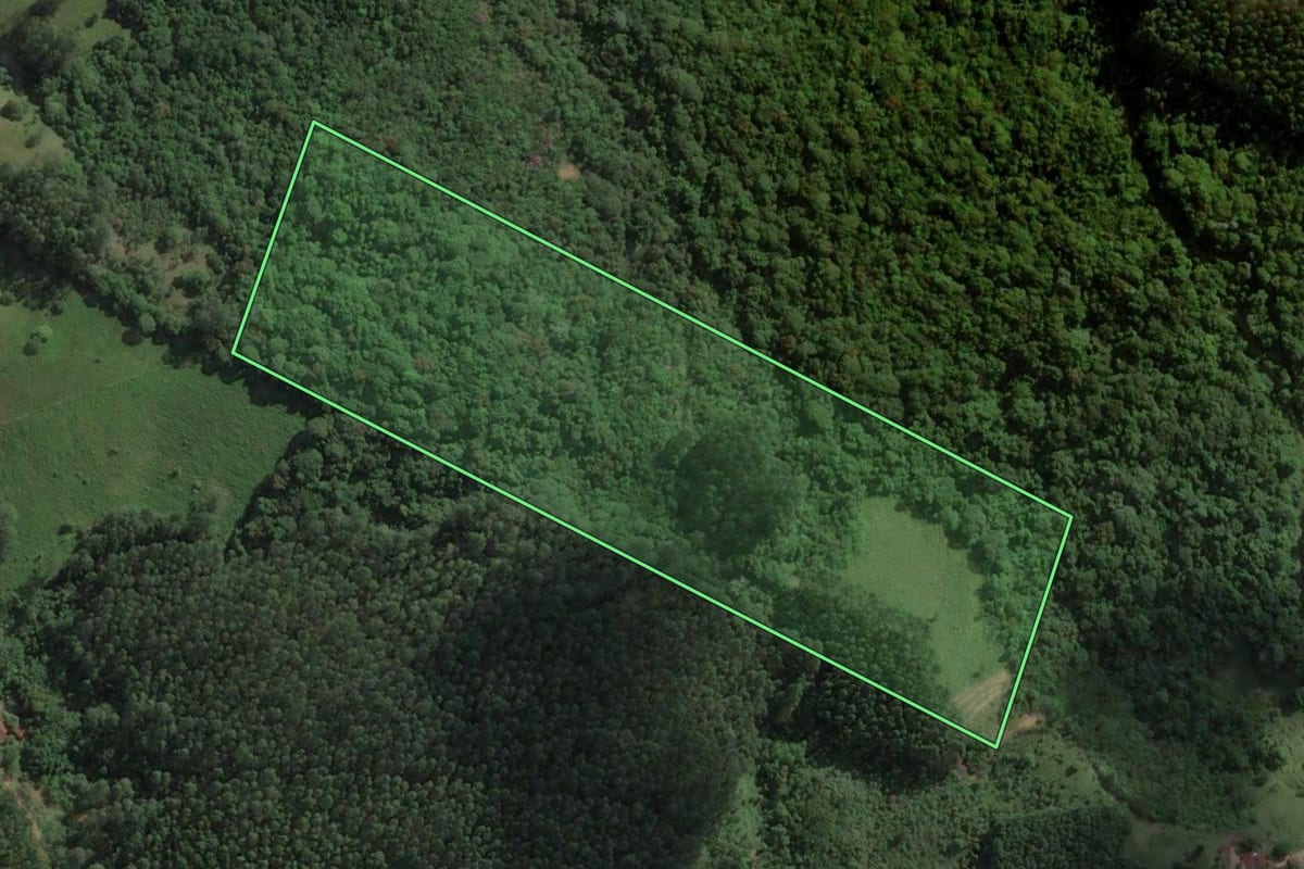 Imagem de satélite do imóvel rural em São Martinho (SC), com o contorno declarado no CAR desenhado por cima.