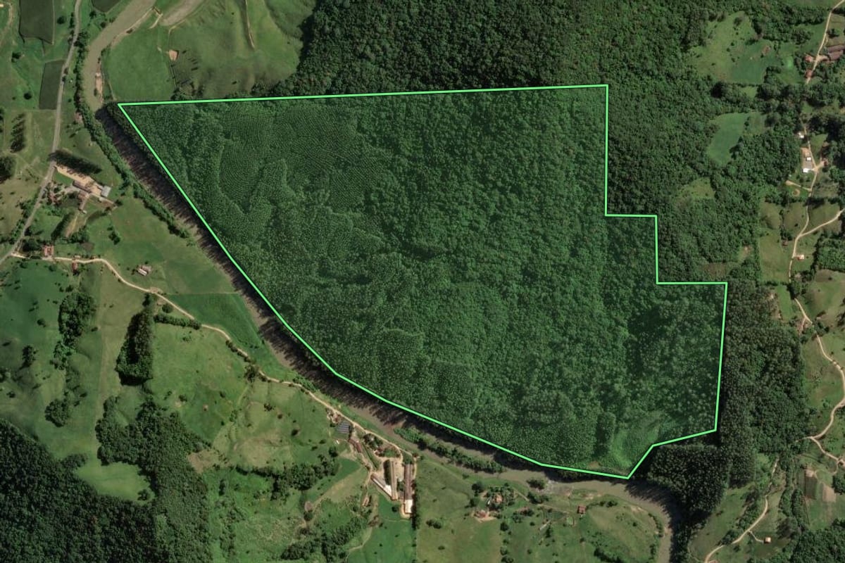 Imagem de satélite do imóvel rural em São Martinho (SC), com o contorno declarado no CAR desenhado por cima.