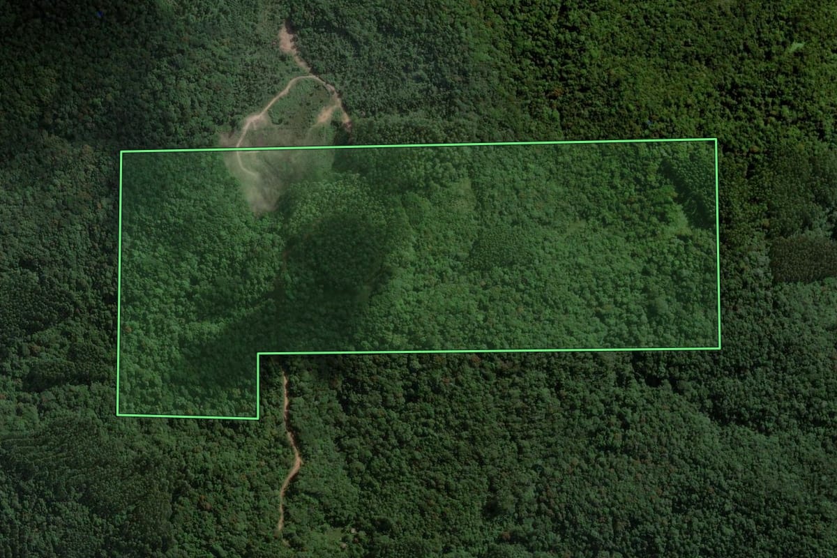 Imagem de satélite do imóvel rural em São Martinho (SC), com o contorno declarado no CAR desenhado por cima.