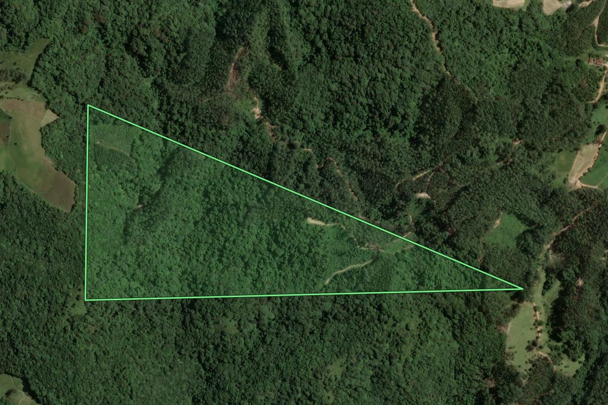 Imagem de satélite do imóvel rural em São Martinho (SC), com o contorno declarado no CAR desenhado por cima.
