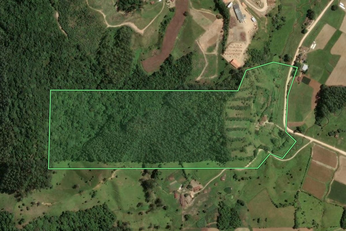 Imagem de satélite do imóvel rural em São Martinho (SC), com o contorno declarado no CAR desenhado por cima.