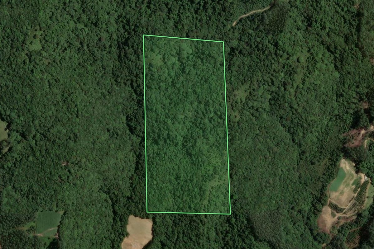 Imagem de satélite do imóvel rural em São Martinho (SC), com o contorno declarado no CAR desenhado por cima.