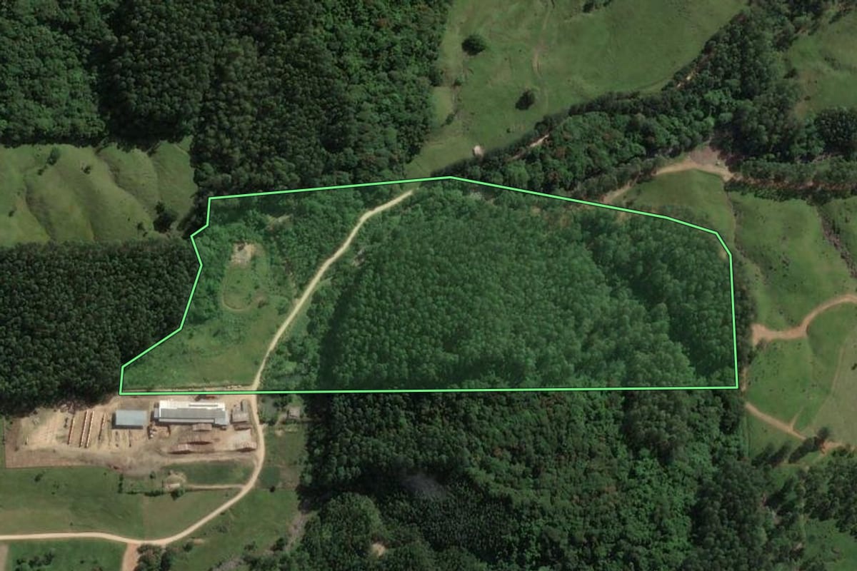 Imagem de satélite do imóvel rural em São Martinho (SC), com o contorno declarado no CAR desenhado por cima.