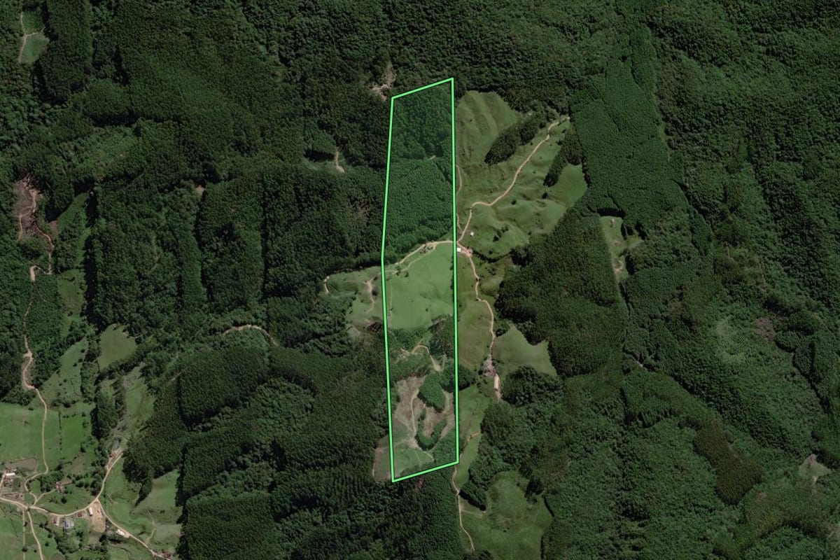 Imagem de satélite do imóvel rural em São Martinho (SC), com o contorno declarado no CAR desenhado por cima.