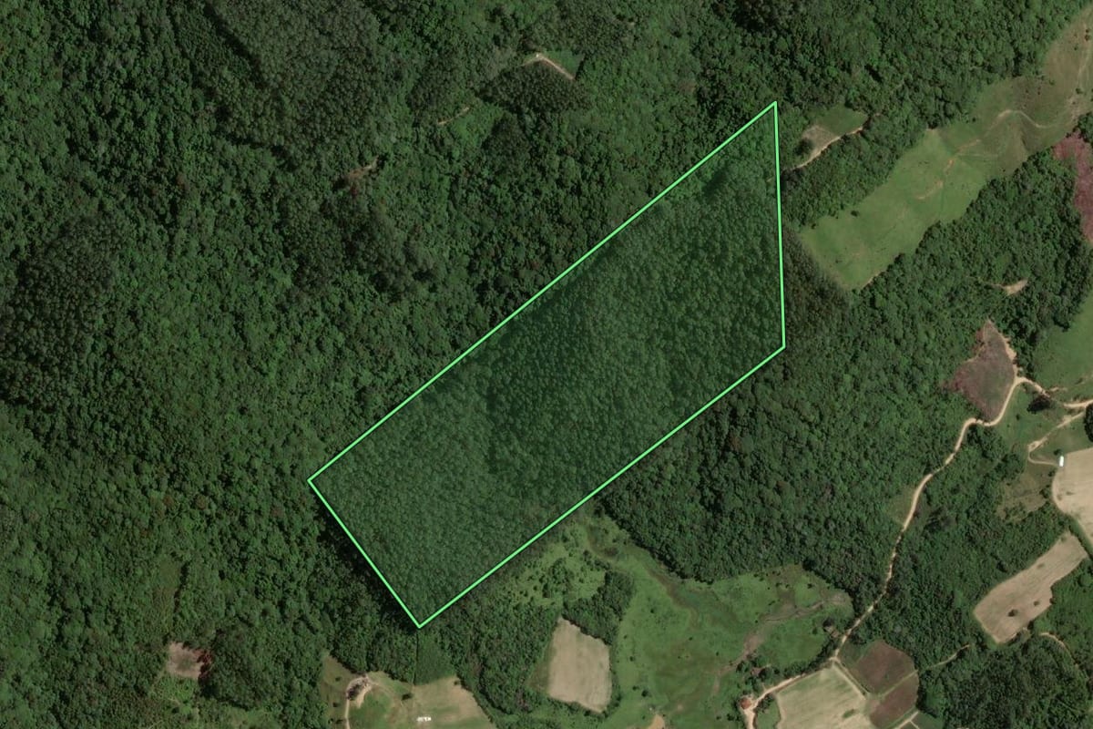 Imagem de satélite do imóvel rural em São Martinho (SC), com o contorno declarado no CAR desenhado por cima.