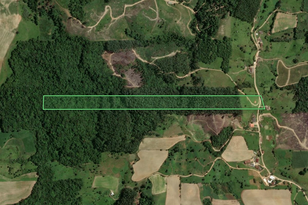Imagem de satélite do imóvel rural em São Martinho (SC), com o contorno declarado no CAR desenhado por cima.