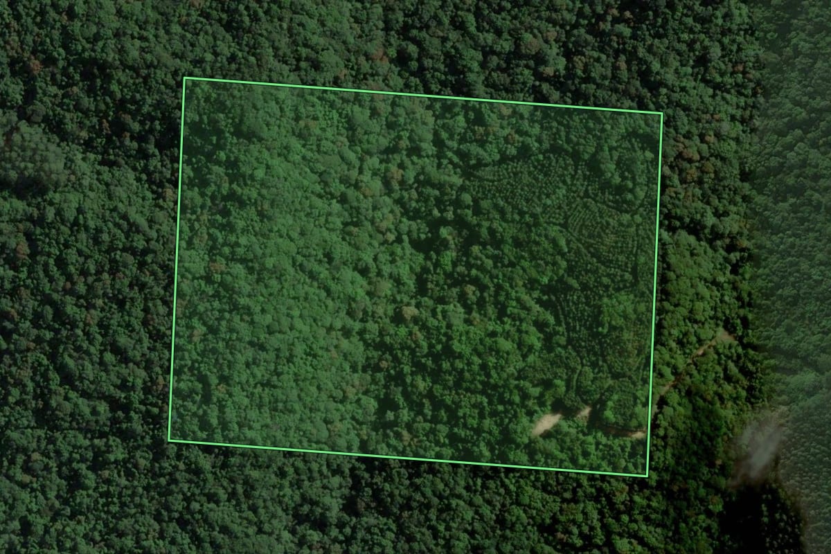 Imagem de satélite do imóvel rural em São Martinho (SC), com o contorno declarado no CAR desenhado por cima.