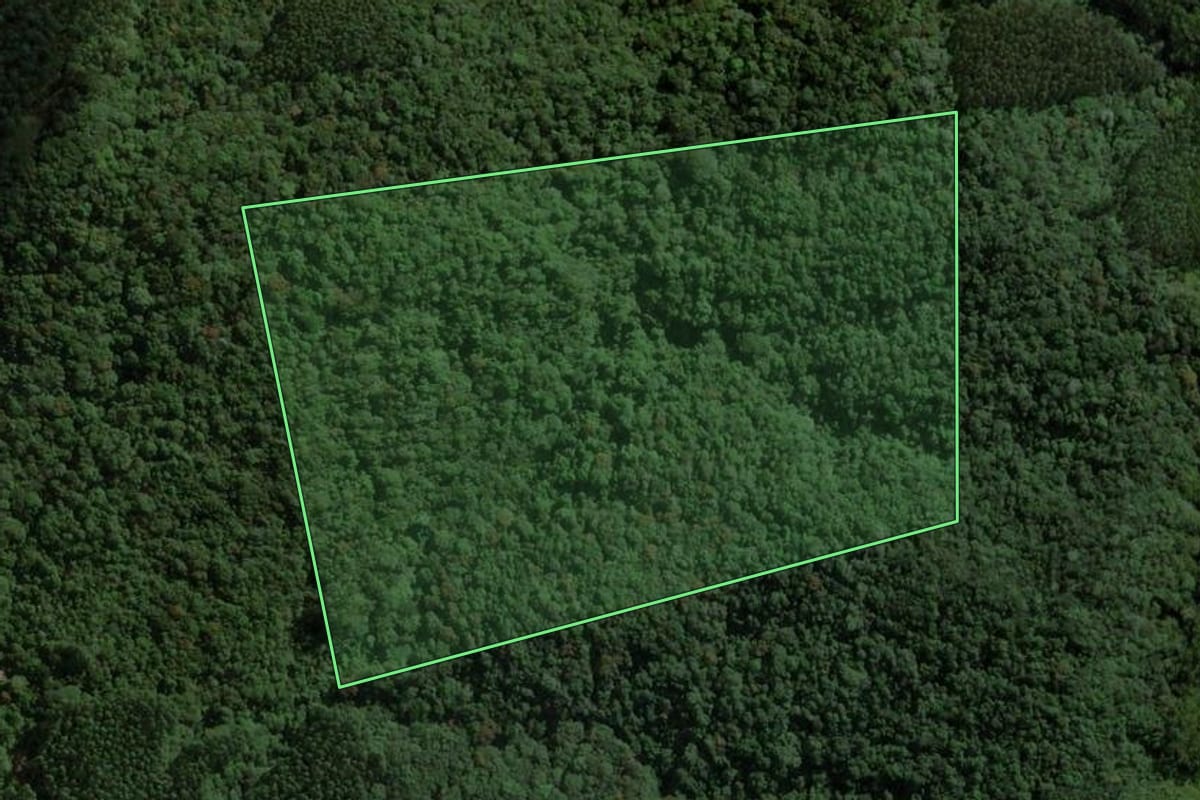 Imagem de satélite do imóvel rural em São Martinho (SC), com o contorno declarado no CAR desenhado por cima.