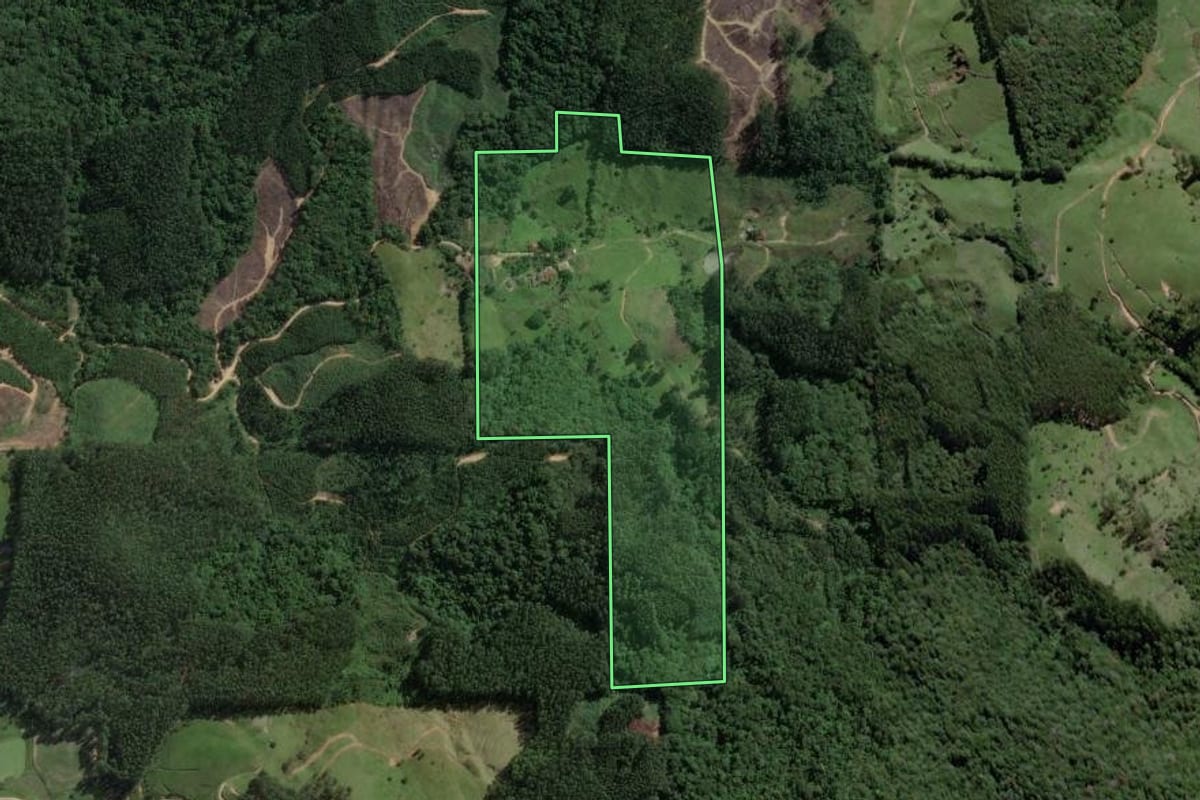 Imagem de satélite do imóvel rural em São Martinho (SC), com o contorno declarado no CAR desenhado por cima.