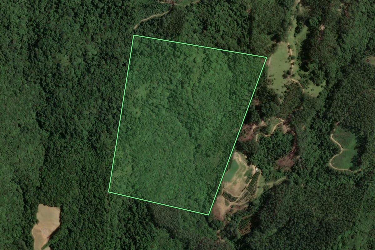 Imagem de satélite do imóvel rural em São Martinho (SC), com o contorno declarado no CAR desenhado por cima.
