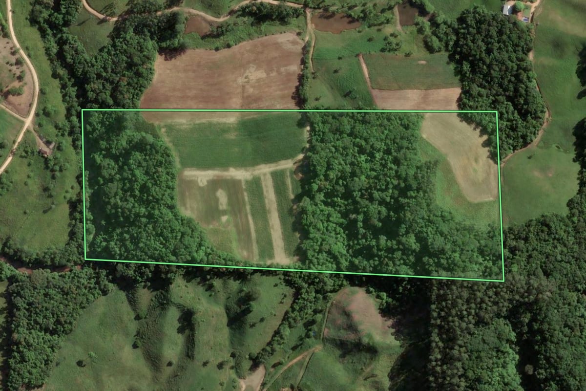 Imagem de satélite do imóvel rural em São Martinho (SC), com o contorno declarado no CAR desenhado por cima.