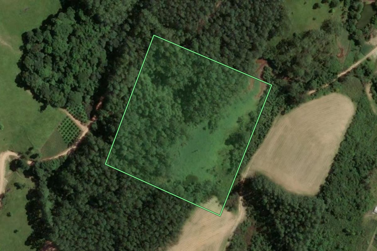 Imagem de satélite do imóvel rural em São Martinho (SC), com o contorno declarado no CAR desenhado por cima.