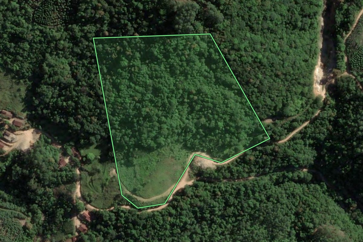 Imagem de satélite do imóvel rural em São Martinho (SC), com o contorno declarado no CAR desenhado por cima.