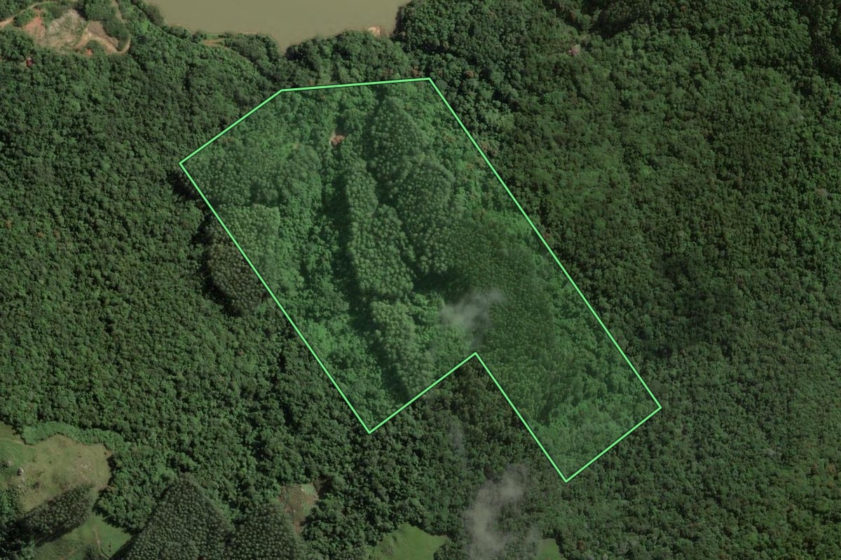 Imagem de satélite do imóvel rural em São Martinho (SC), com o contorno declarado no CAR desenhado por cima.
