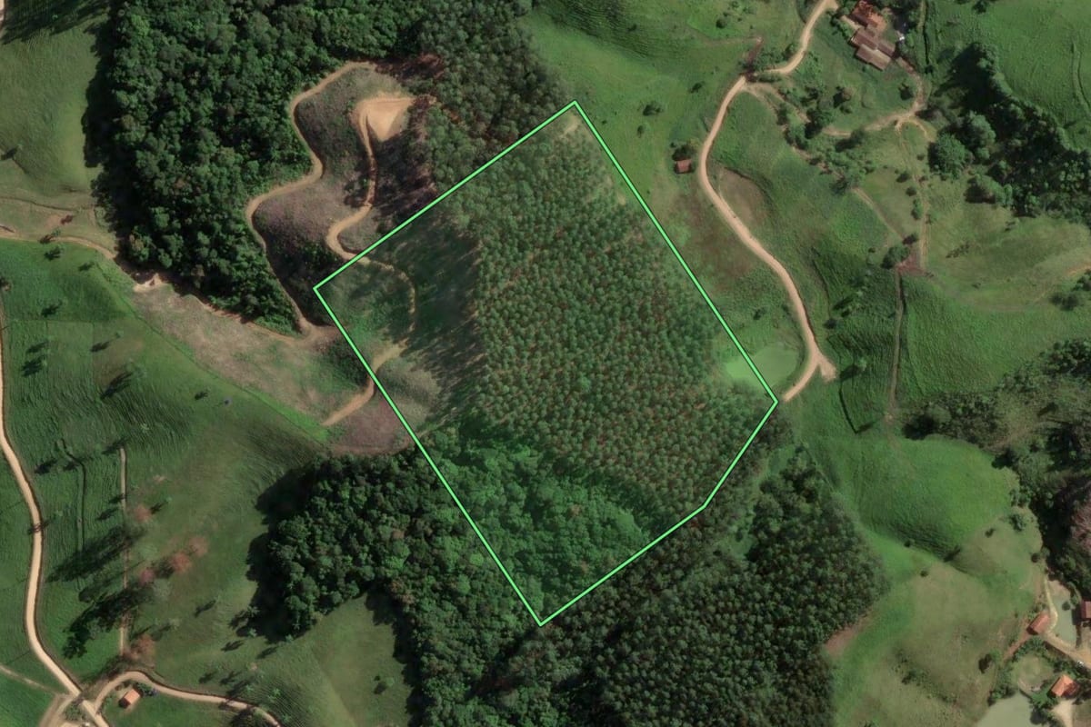 Imagem de satélite do imóvel rural em São Martinho (SC), com o contorno declarado no CAR desenhado por cima.