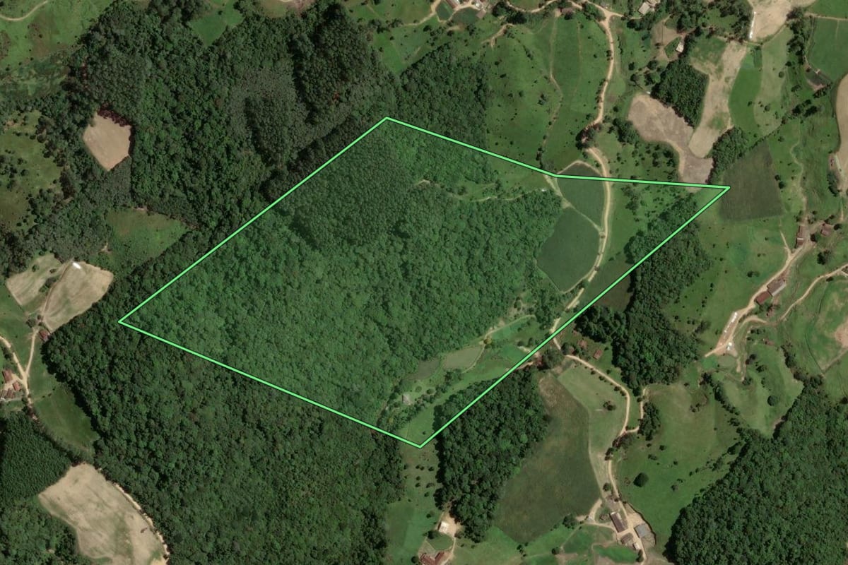 Imagem de satélite do imóvel rural em São Martinho (SC), com o contorno declarado no CAR desenhado por cima.