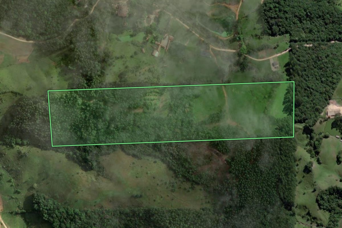 Imagem de satélite do imóvel rural em São Martinho (SC), com o contorno declarado no CAR desenhado por cima.