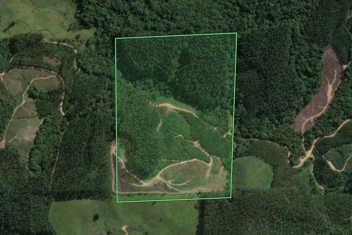 Imagem de satélite do imóvel rural em São Martinho (SC), com o contorno declarado no CAR desenhado por cima.
