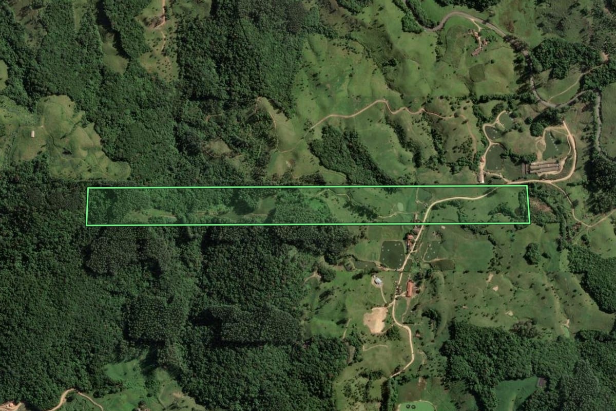 Imagem de satélite do imóvel rural em São Martinho (SC), com o contorno declarado no CAR desenhado por cima.