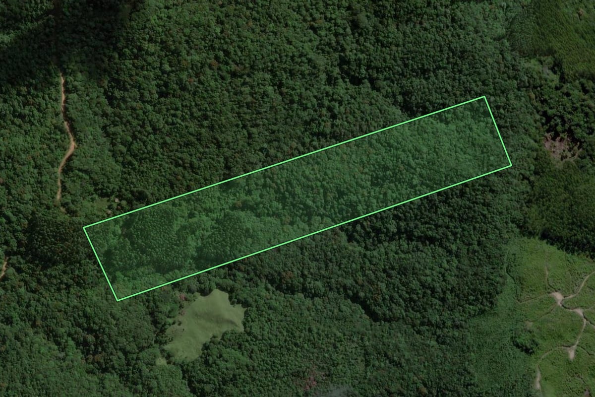 Imagem de satélite do imóvel rural em São Martinho (SC), com o contorno declarado no CAR desenhado por cima.