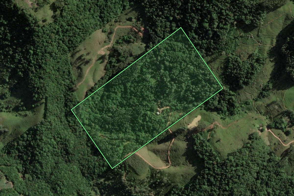 Imagem de satélite do imóvel rural em São Martinho (SC), com o contorno declarado no CAR desenhado por cima.